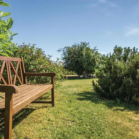 Smorblomstvaenget X *